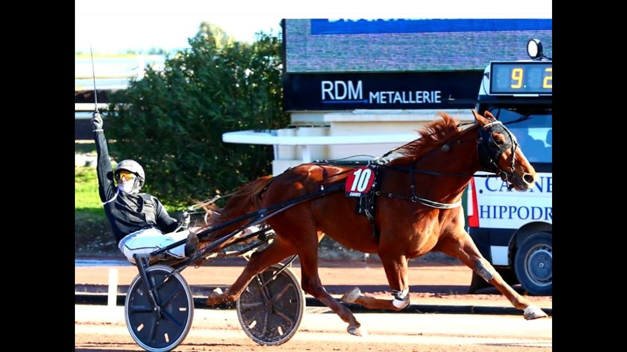 2025 Prix De La Cote D'Azur 2925M Cagnes-Sur-Mer : Gino Viva (1.14.8kr)