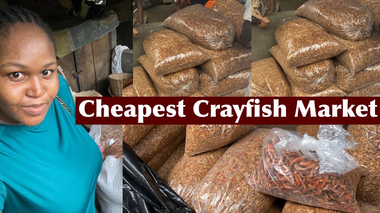 CHEAPEST CRAYFISH MARKET IN NIGERIA || How I started My Crayfish Business.