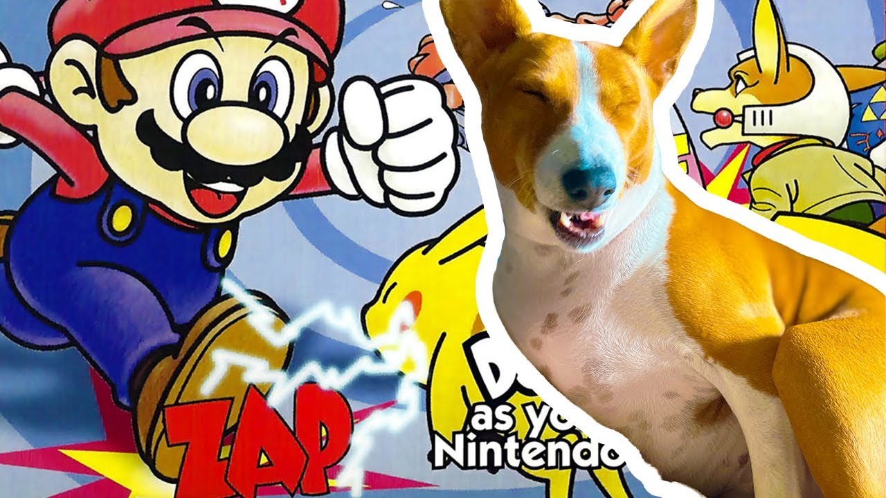 Super Smash Bros. | N64 / Analogue 3D | Gameplay Sampler