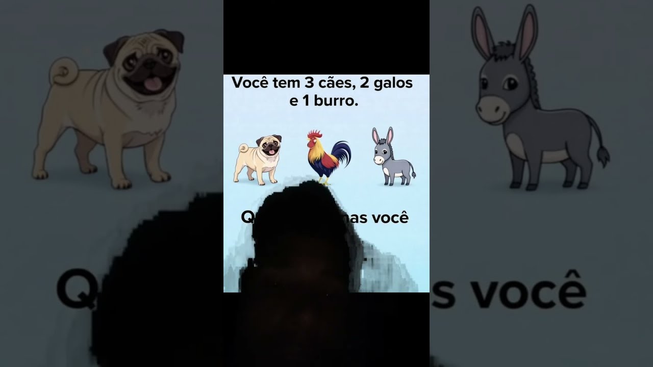 AO VIVO &oninguim vai acertawq #nighgt #Live