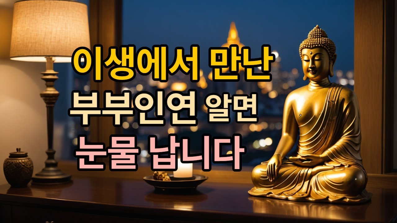 이 생에서 만난 부부 인연,  알면  눈물 나요  | 부처님 가르침 | #부부관계 #부부인연 #졸혼 #이혼