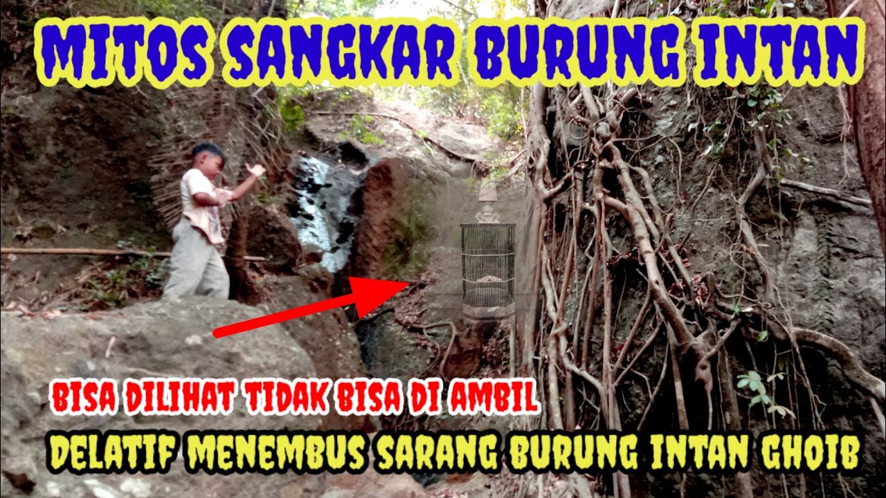 SEMUA ORANG TIDAK PERCAYA DELATIF BISA MENEMBUS DAN MELIHAT SANGKAR BURUNG INTEN GHOIB