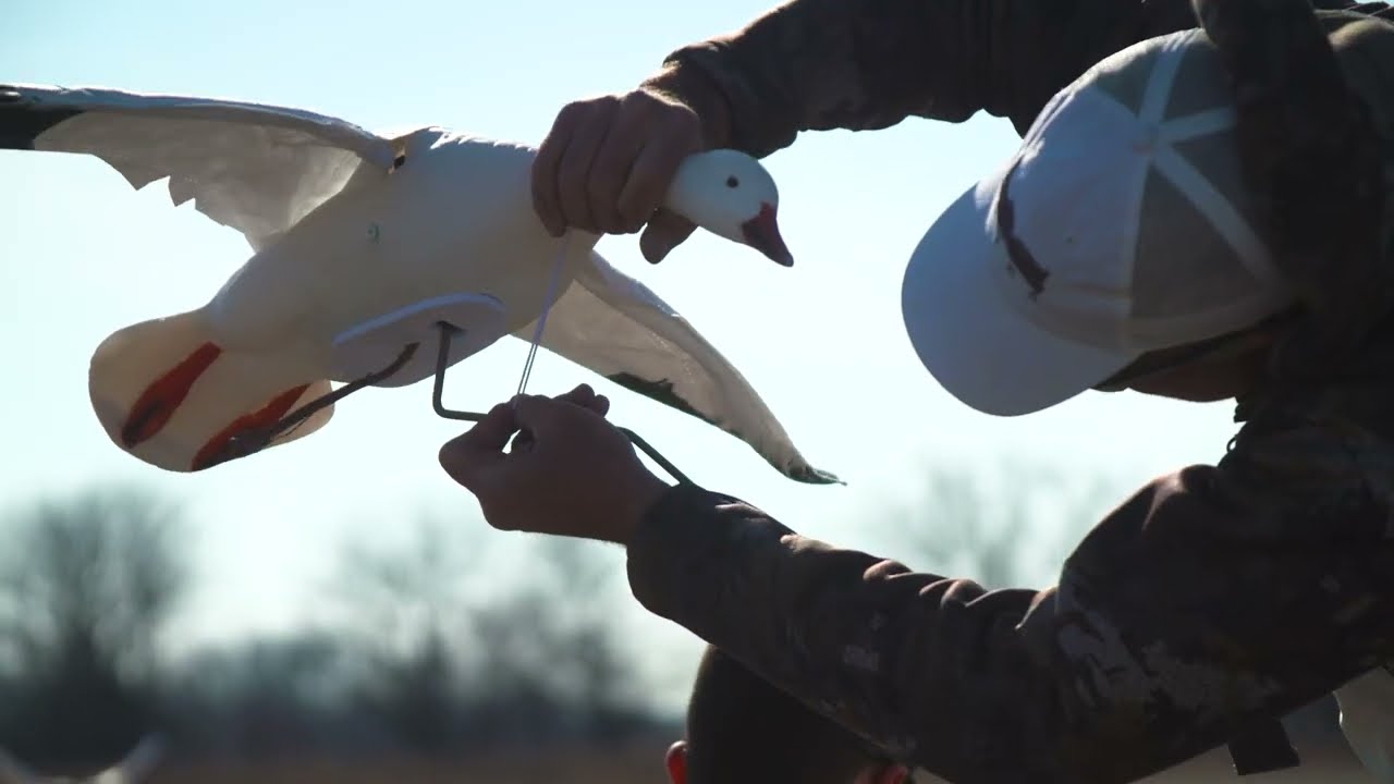 Clone Snow Goose & Persuader Setup Tip