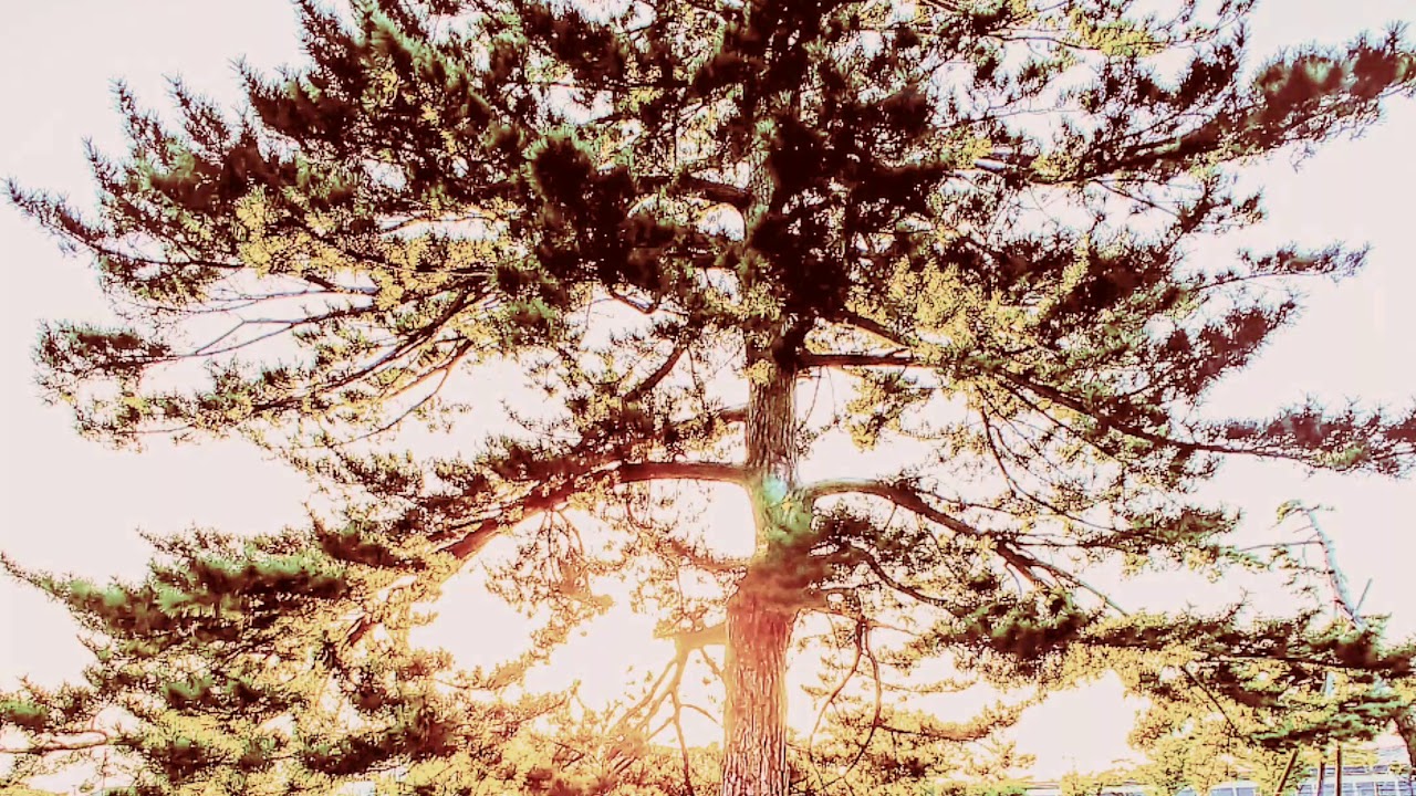 Tes　#noisemusic　#ambient  #ambientmusic  #ambientnoise  #dronemusic  #darkmusic  #darkambient 🎧🎶