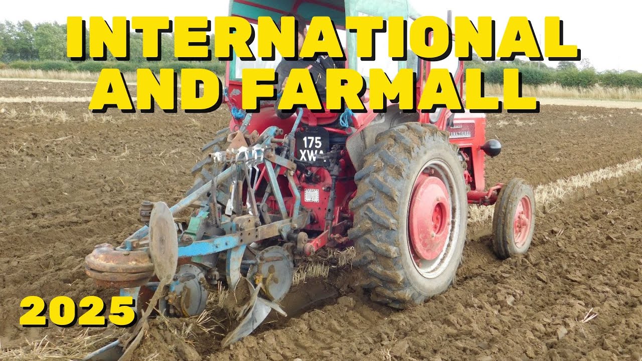 International and Farmall Tractors in 2025
