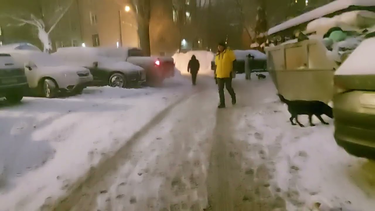 Московский снег 2026 январь 20