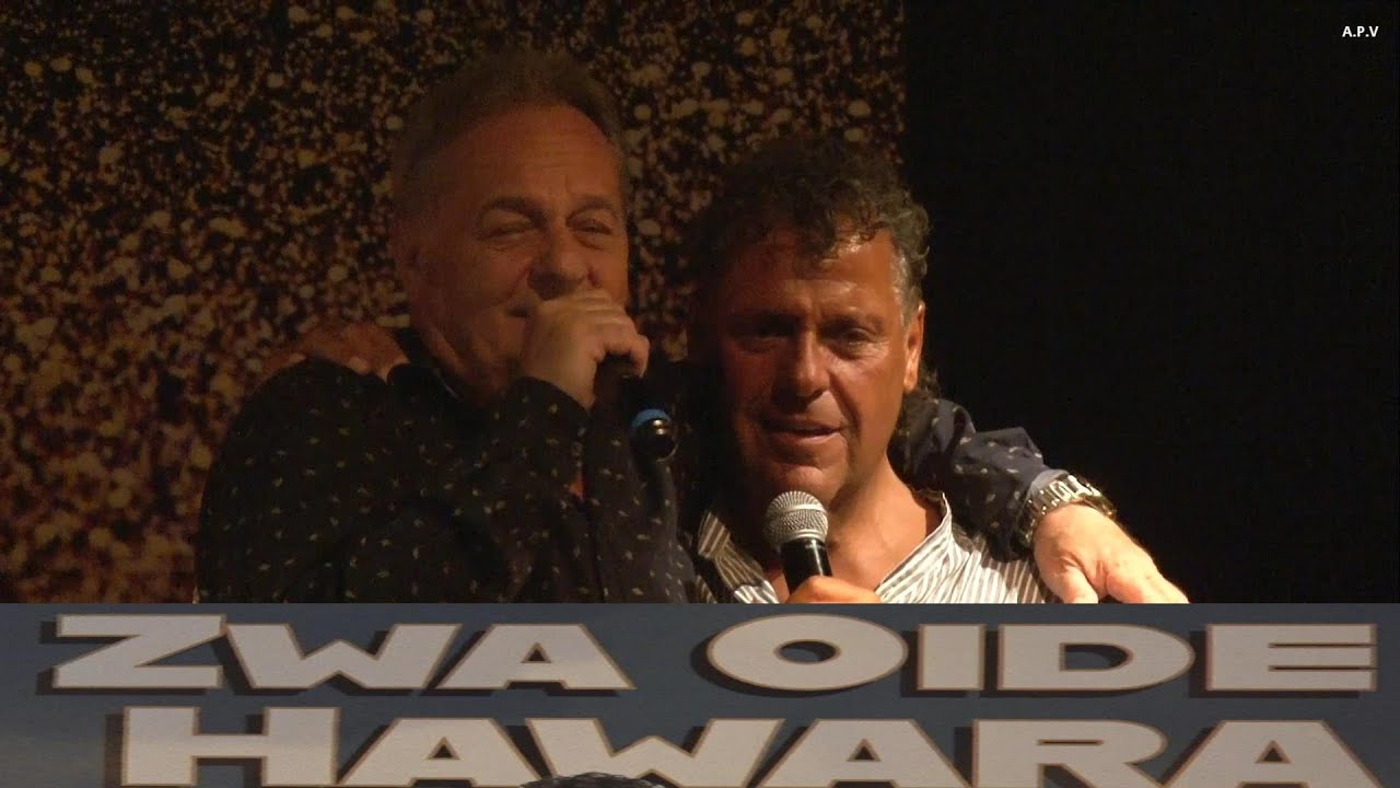 Herbert Frei & Harry Steiner - Zwa Oide Hawara