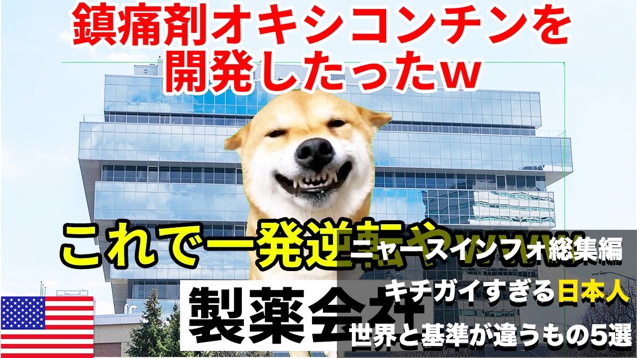 【総集編】日本が世界と比べて基準値が違うもの5選#猫マニ #猫ミーム