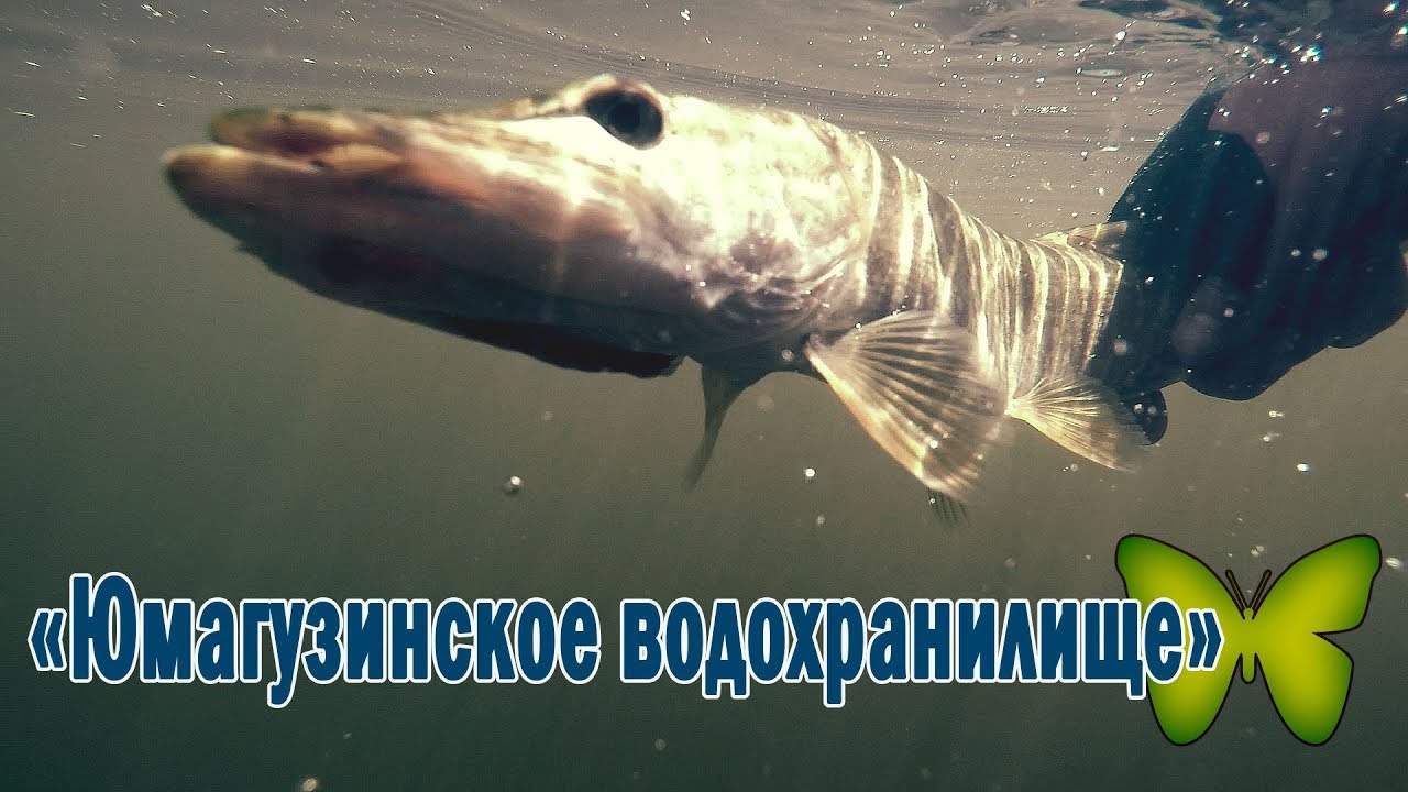 РЫБАЛКА НА ЮМАГУЗИНСКОМ ВОДОХРАНИЛИЩЕ!!! (ЧАСТЬ 2)