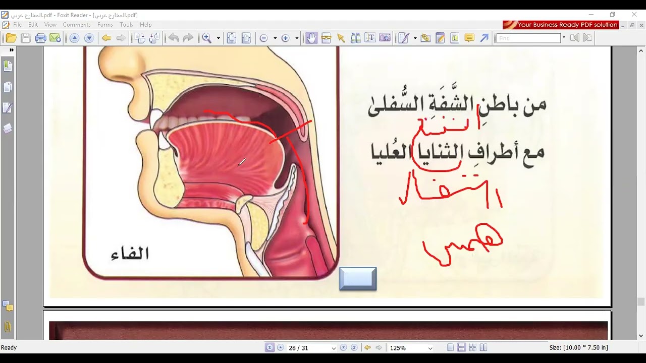 شرح مخرج  الفاء