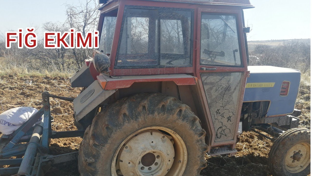 Fiğ ekimi için uygun dönem ve ekimi