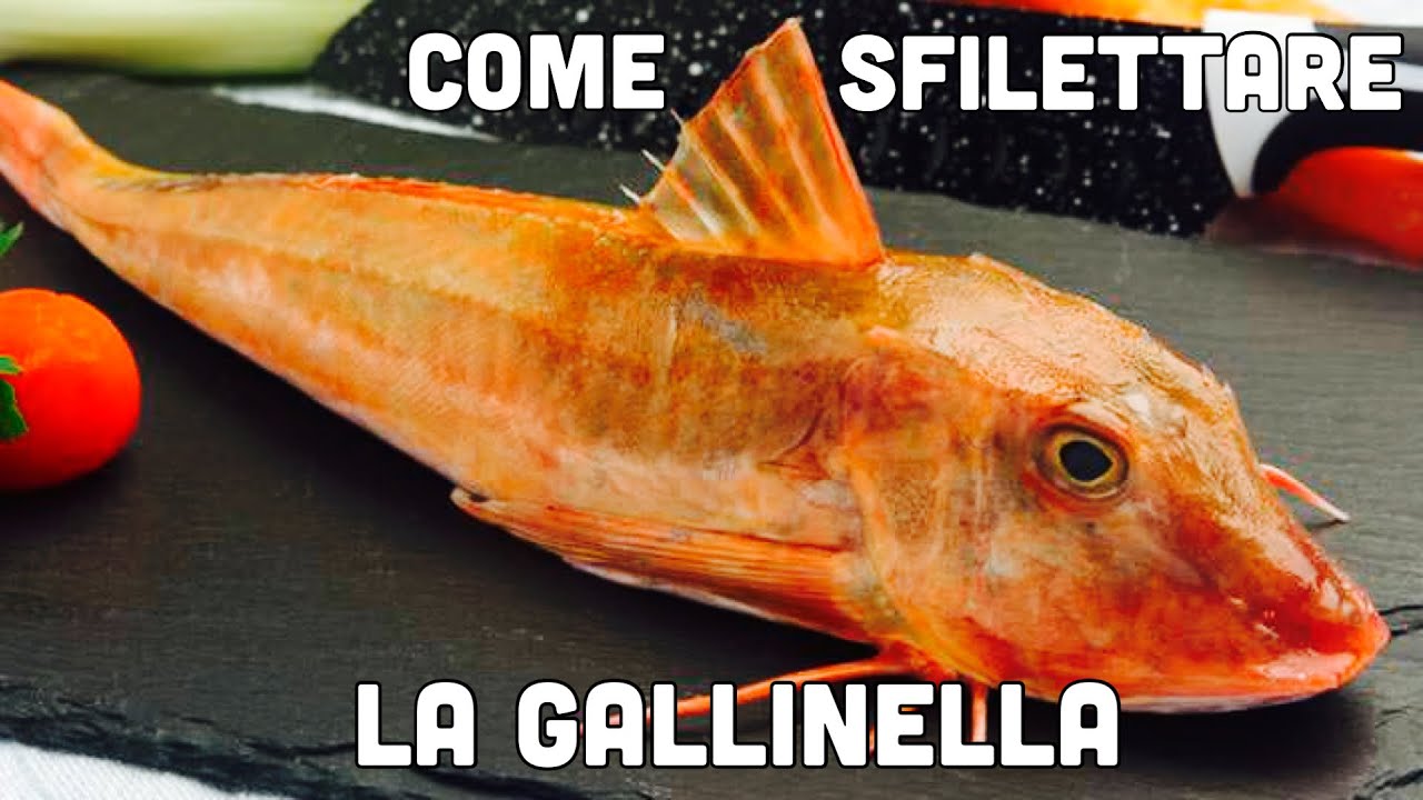 Come PULIRE e SFILETTARE la GALLINELLA o CAPONE
