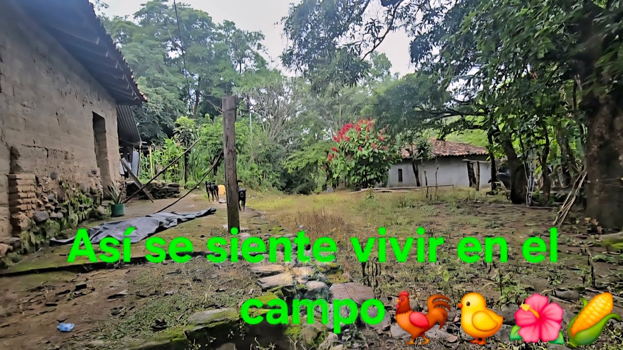 Así es nuestra rutina despues de 8 meses en El Salvador 🇸🇻 