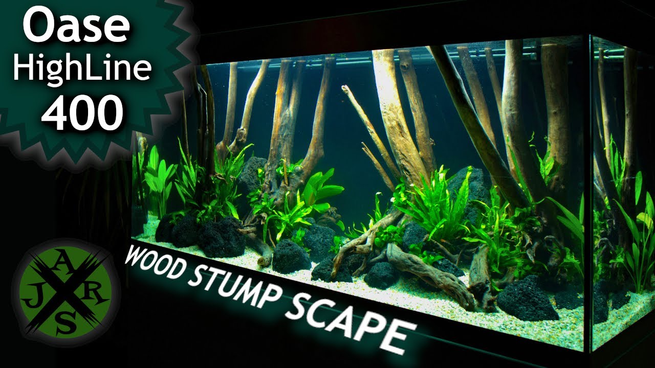 Oase HighLine 400 | Wood Stump Scape Part 2 | JR Aquascaping