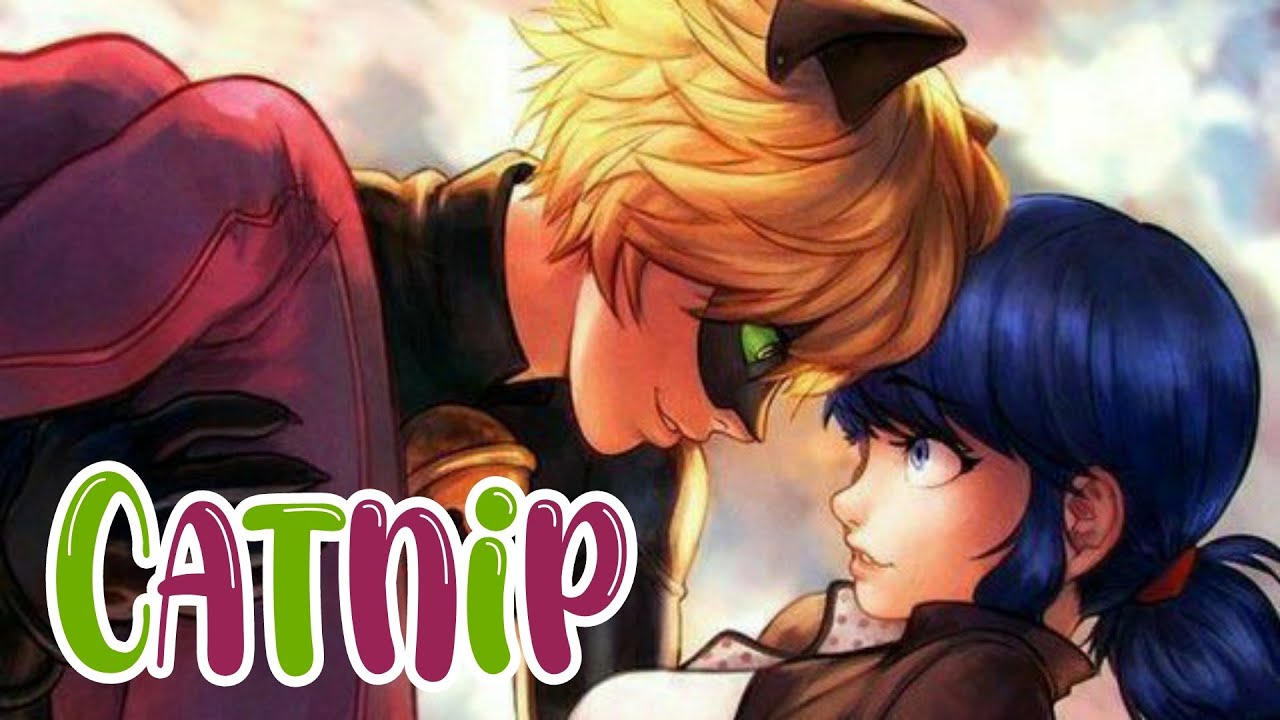 Catnip || One Part Story || Miraculous Texting Story