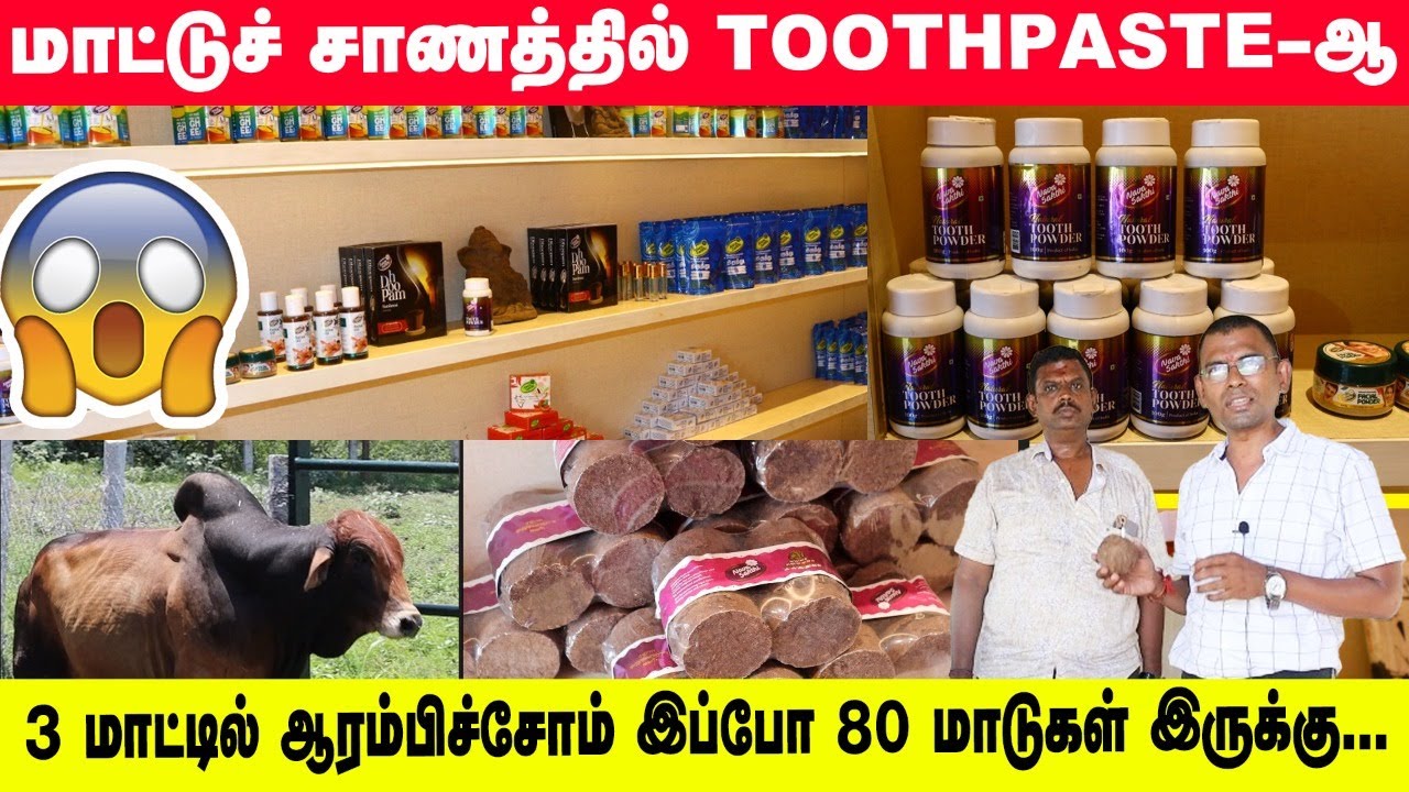 மாட்டுச் சாணத்தில் Toothpaste- ஆ |  3 மாட்டில் ஆரம்பிச்சோம் இப்போ 80 மாடுகள் இருக்கு!