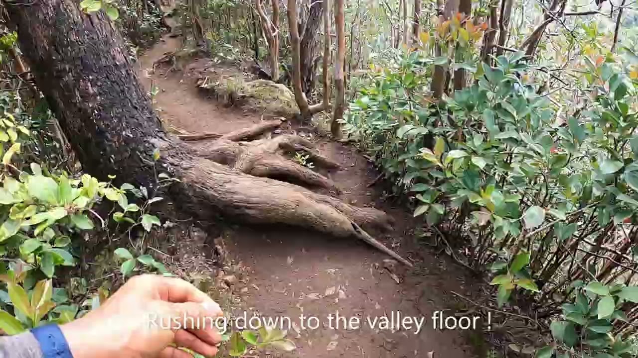 Hiking to Stairway to Heaven (Haiku Stairs) in a legal way, 5-30-2022 (Part 2 of 2)