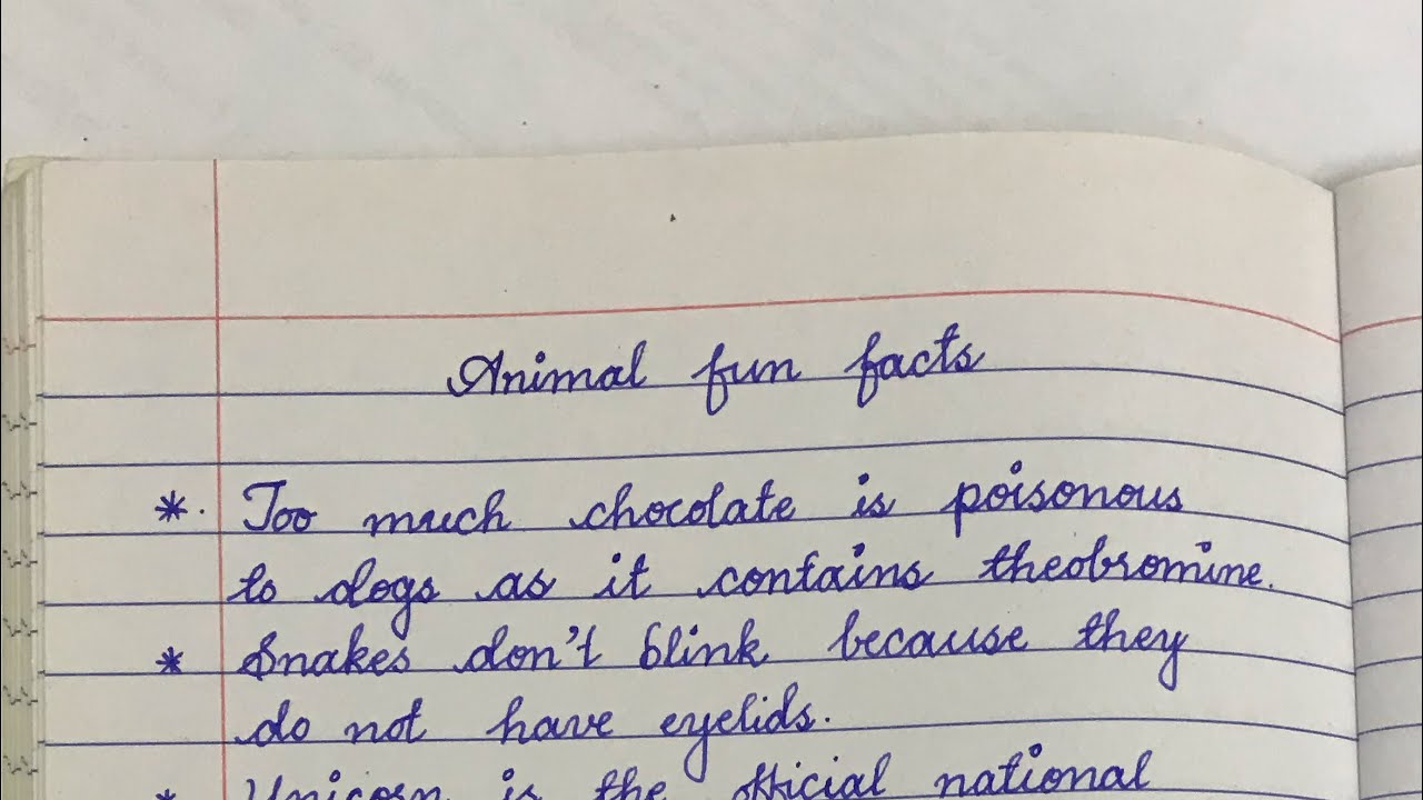 Animal Fun Facts | Cursive writing practice for beginners 