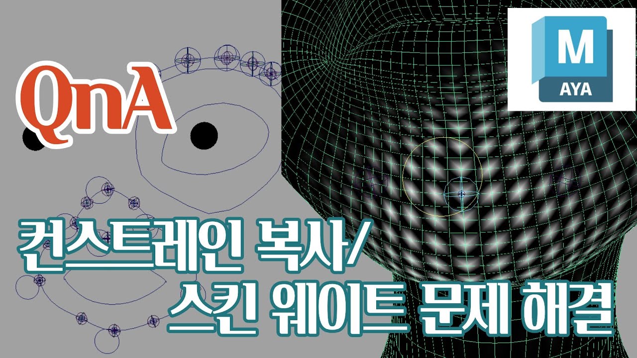 Maya QnA 컨스트레인 복사, 스킨 웨이트 문제 해결