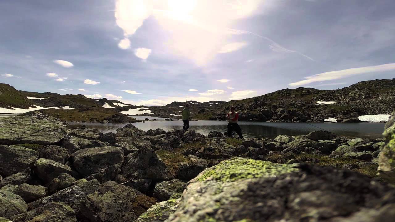 Hallingskarvet Juli 2014