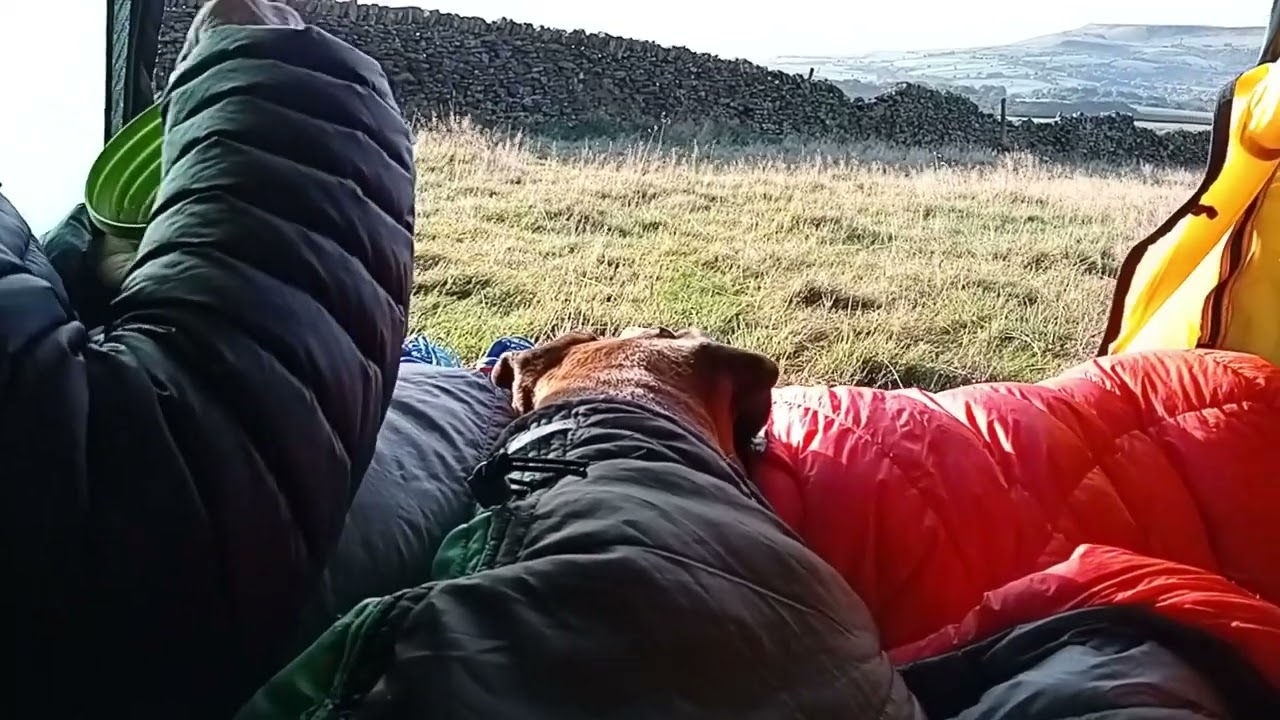 Pebbles and Islay Go Nadventuring, September 2024