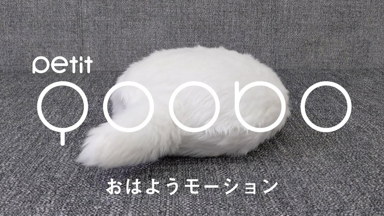 Petit Qoobo おはようモーション例｜小さくなった、心を癒やす、しっぽクッション。