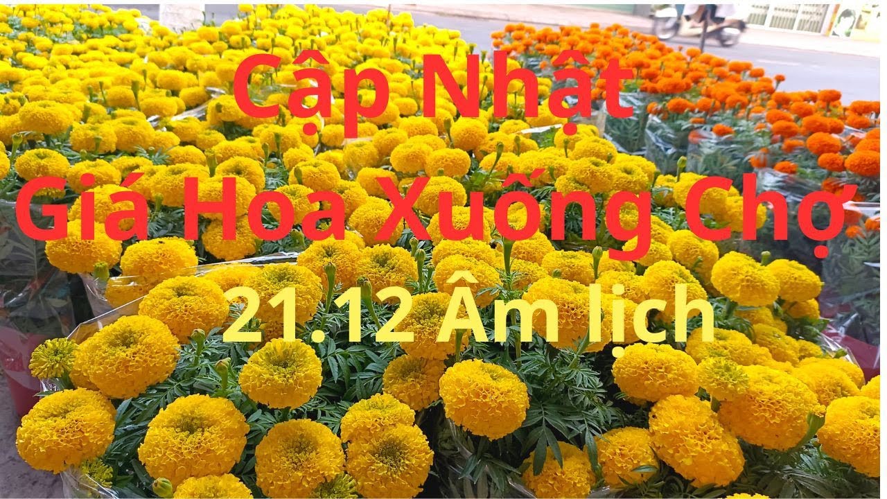 Cập Nhật Giá Hoa Xuống Chợ 21.12 âm lịch || Ngày Đầu Bán Hơn 30 Cặp 