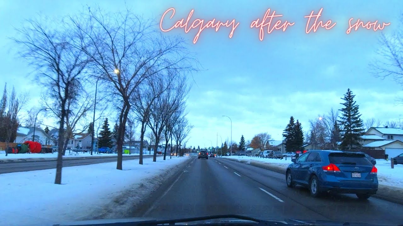 Calgary in the Mid of November 2022 | After the Snowfall #calgary #alberta
