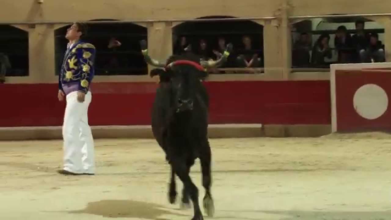 FERIA ALÈS 2014 - Course landaise