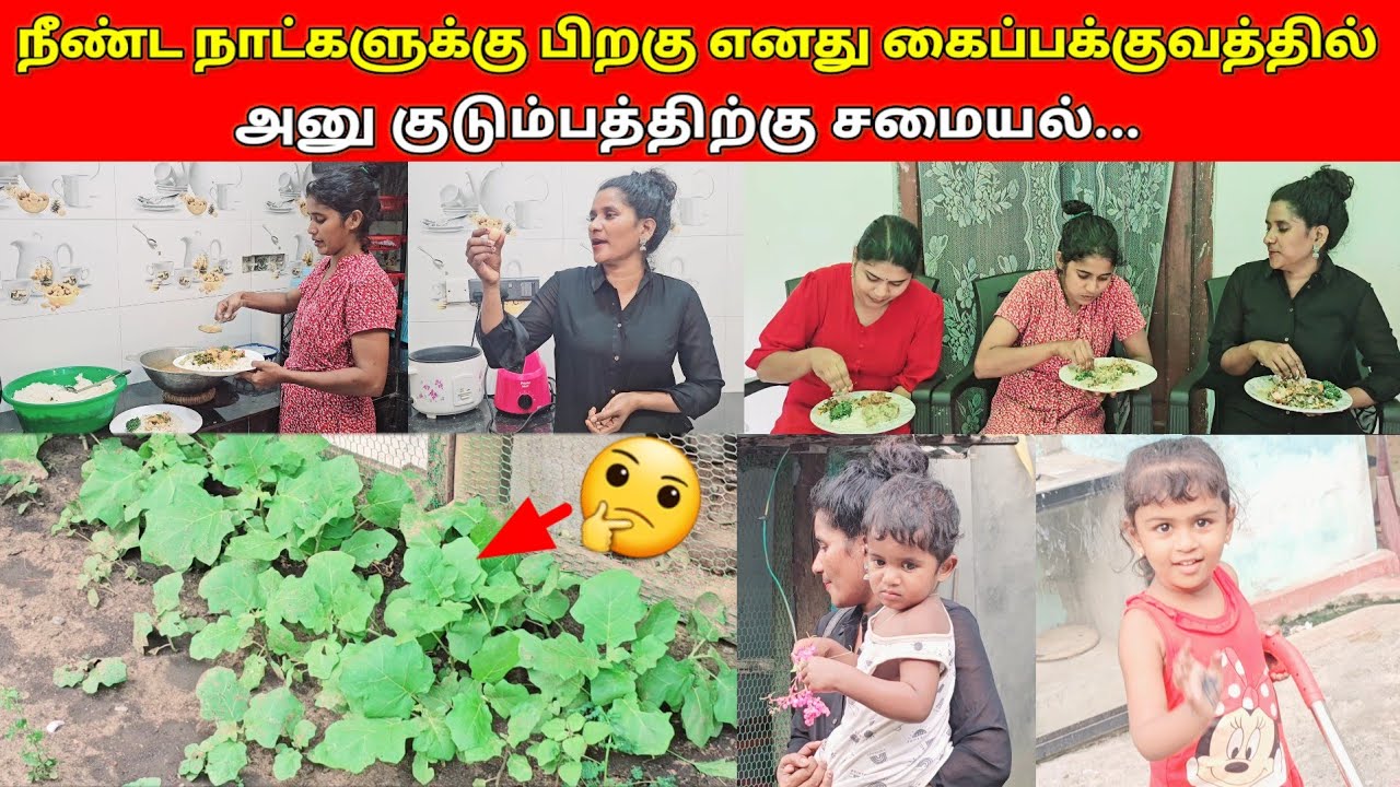அனு வீட்டிலிருந்து நான் கொண்டு சென்ற உபயோகமான பொருள்..🤔🤔/SSV VLOG/jaffna vlog/👍👍