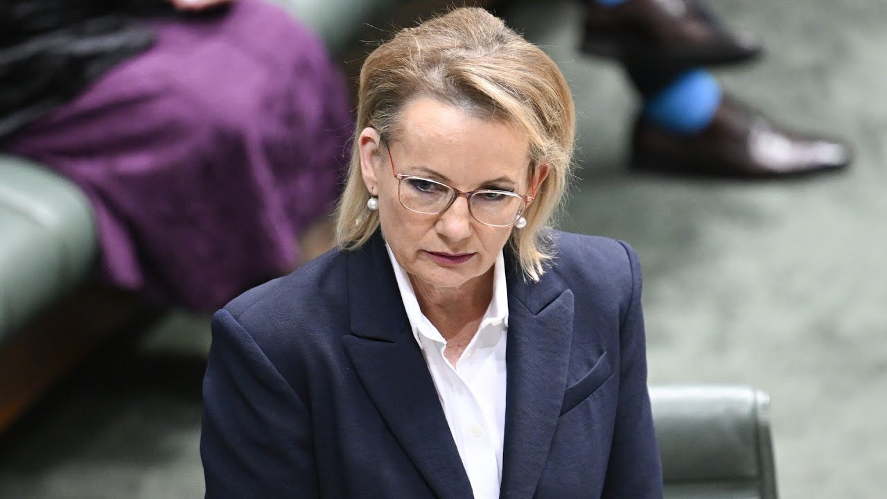 ‘The Liberals are in the wrong’: Peta Credlin lashes out at the ‘poor judgement’ of Sussan Ley