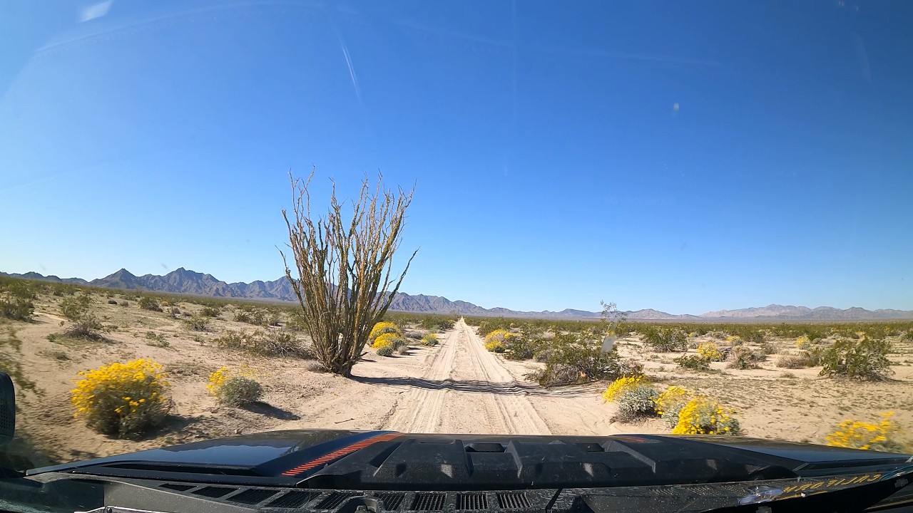 Emperor of the Sands: Salton Sea 2026