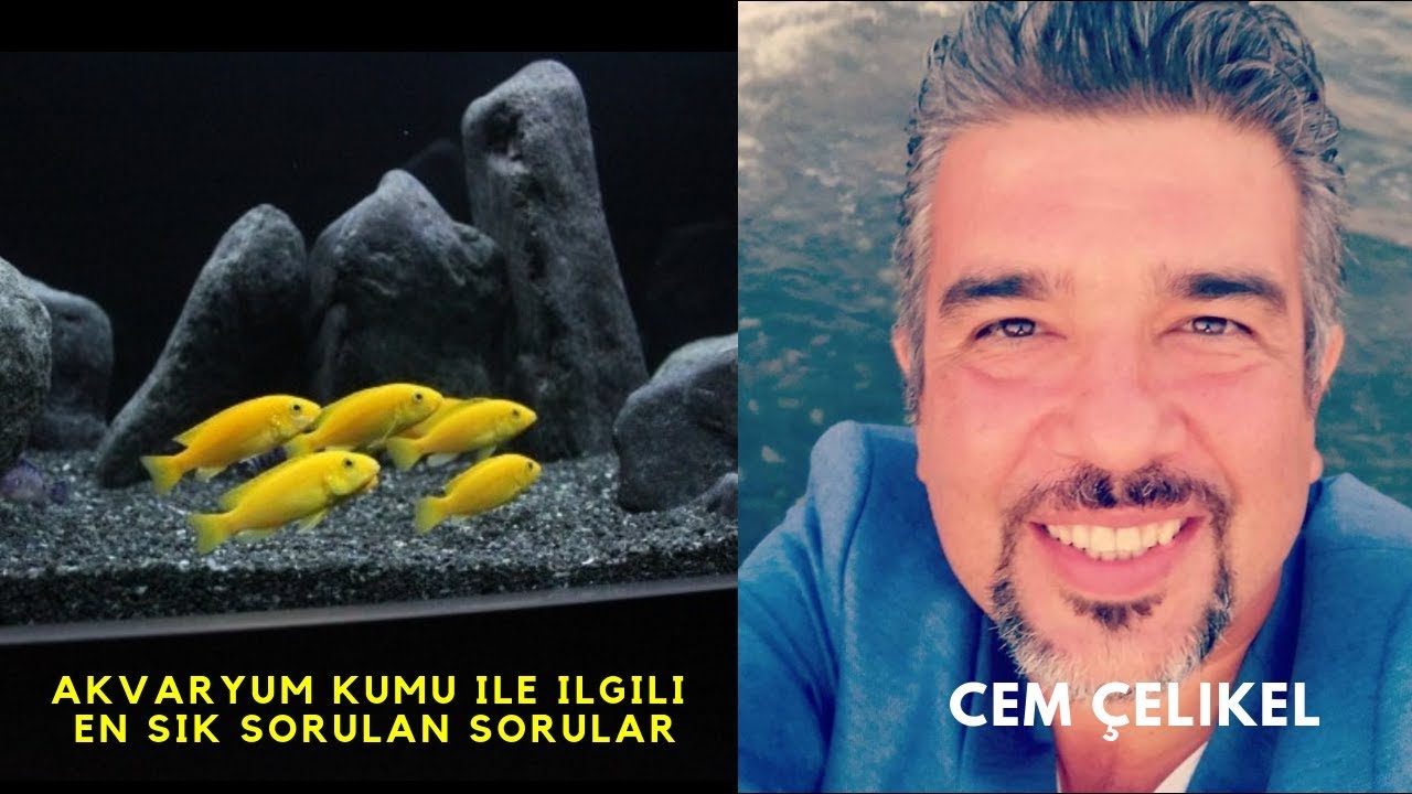 AKVARYUM KUMU NASıL YıKANıR(Japon Balığı Sarı Prenses Akvaryum Kumları Nasıl Olmalı)