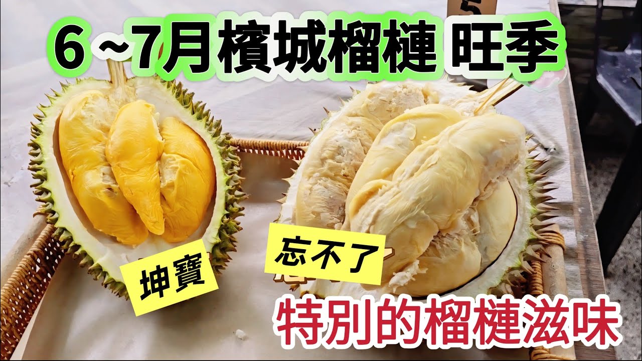 ❤ 2025檳城 坤寶 忘不了榴槤 |#浮羅山背好吃的榴槤 | 2025大馬榴槤行 ep.10 | #马来西亚 #槟城 #Malaysia #Durian #台灣 #駕車自助遊 |2025年7月26日