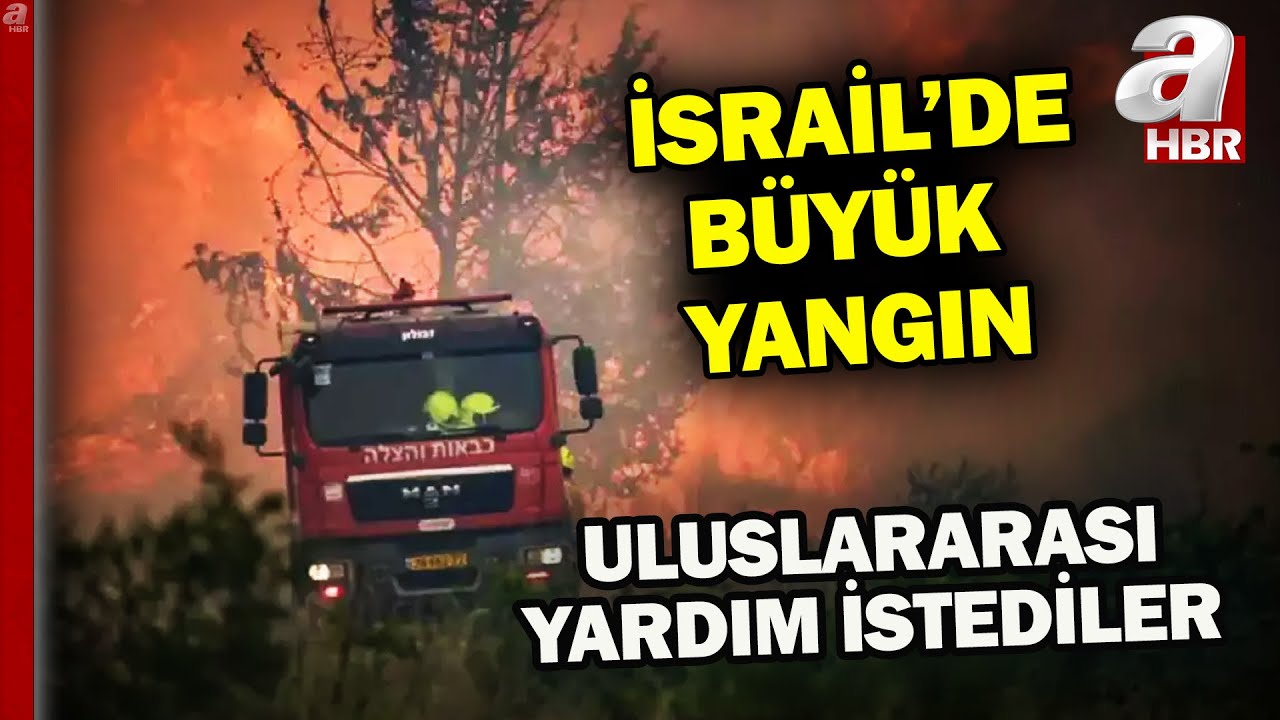 Uluslararası yardım istediler! İsrail'de büyük orman yangını... | A Haber