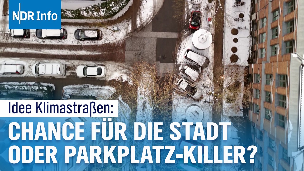 Weniger Parkplätze für mehr Grün? Hamburg prüft Umbau | NDR Info