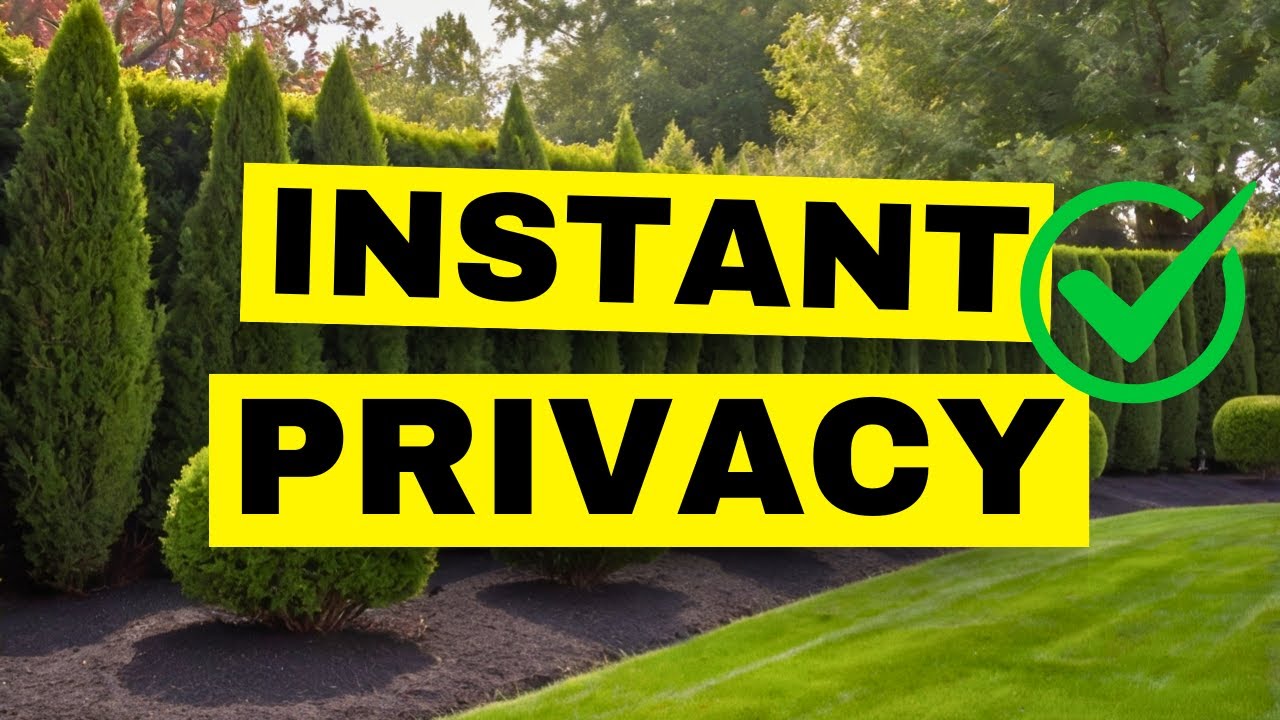 15 Fast-Growing Hedges That Add Privacy to Your Yard in No Time