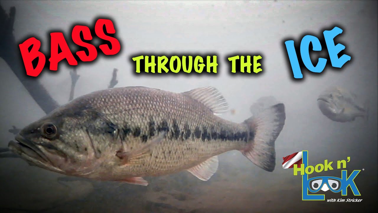 How I Blade Bait Bass through the Ice!
