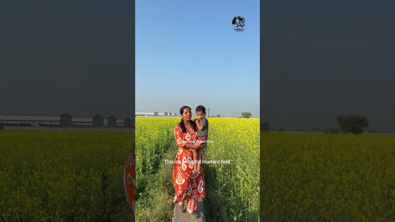 Mustard fields കടുക് പാടം💛 