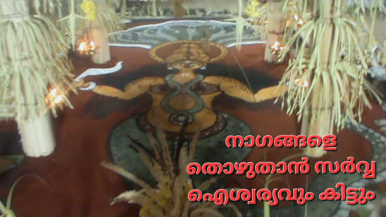 നാഗയക്ഷി കളം 2025