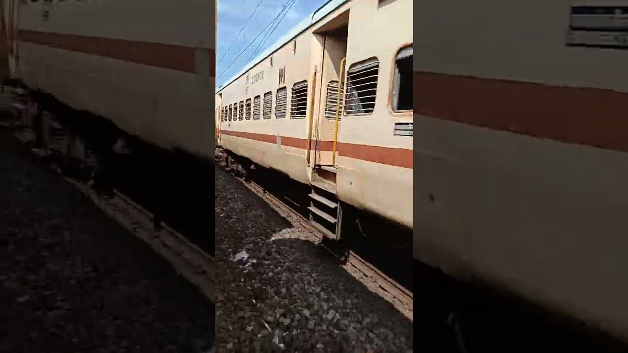 Manas Rhino Passenger Train Cross Kolongpar Train....