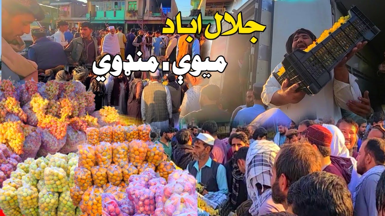 جلال اباد | میوې | منډوي ګرم بازار 