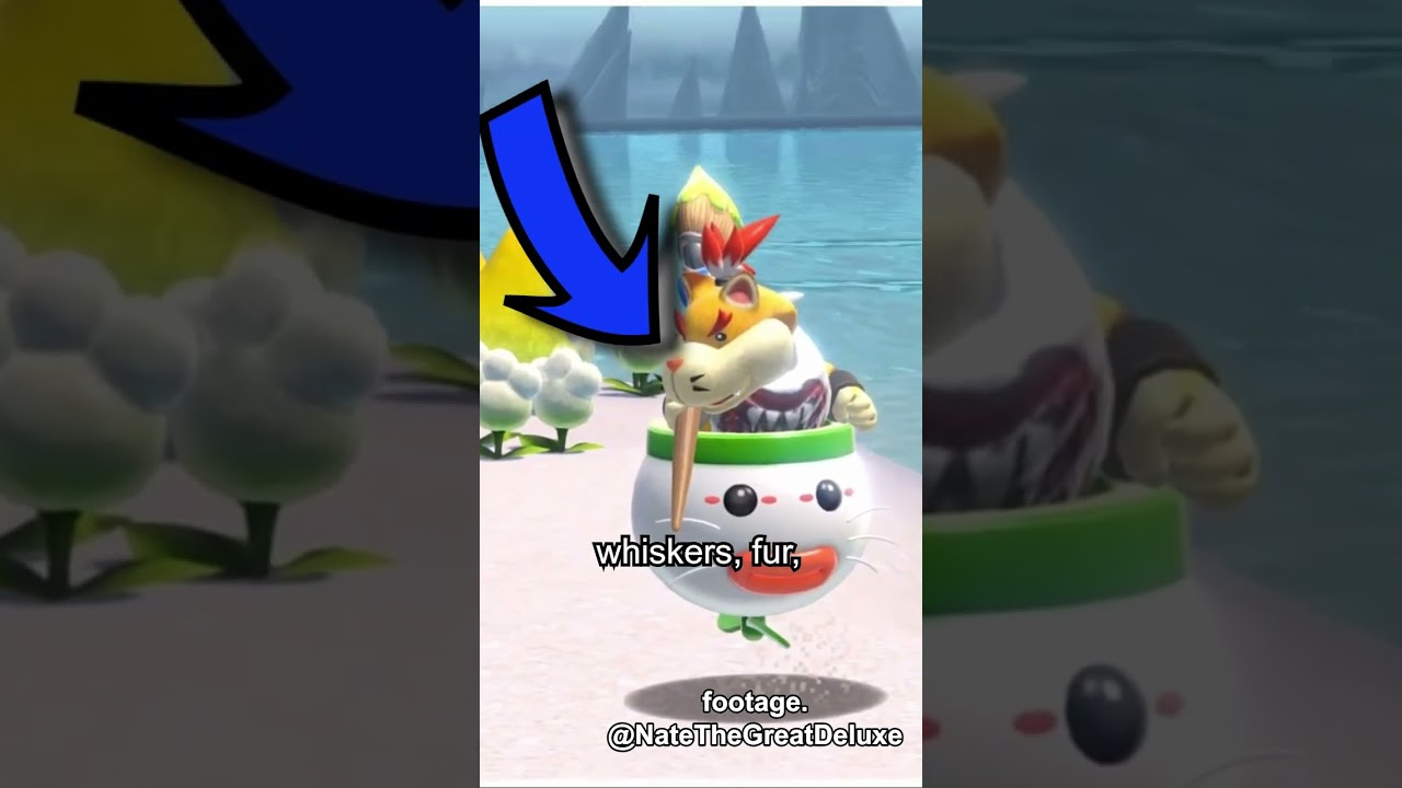 Bowser's Fury 100% REWARD