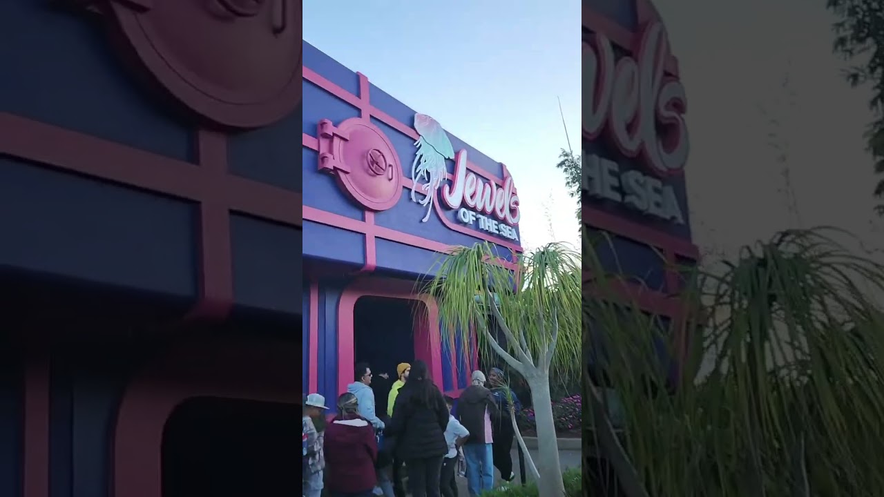 Морские сокровища: длинная очередь в пиковый день в конце года в SeaWorld San Diego, Калифорния (...