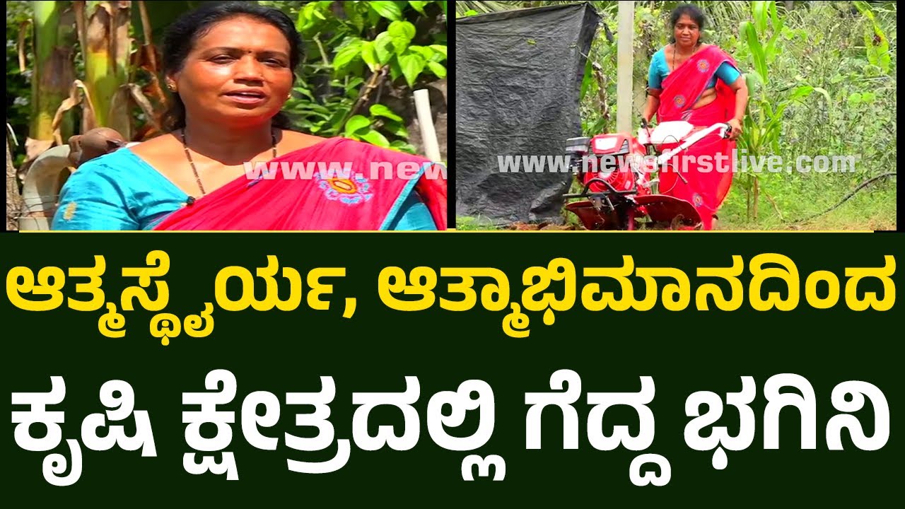 Padma : ಉಪಕಸುಬಲ್ಲೂ ಯಶಸ್ವಿ.. ತಿಂಗಳಿಗೆ 50 ಸಾವಿರ ಆದಾಯ ! | Krishi Devobhava |@newsfirstagri