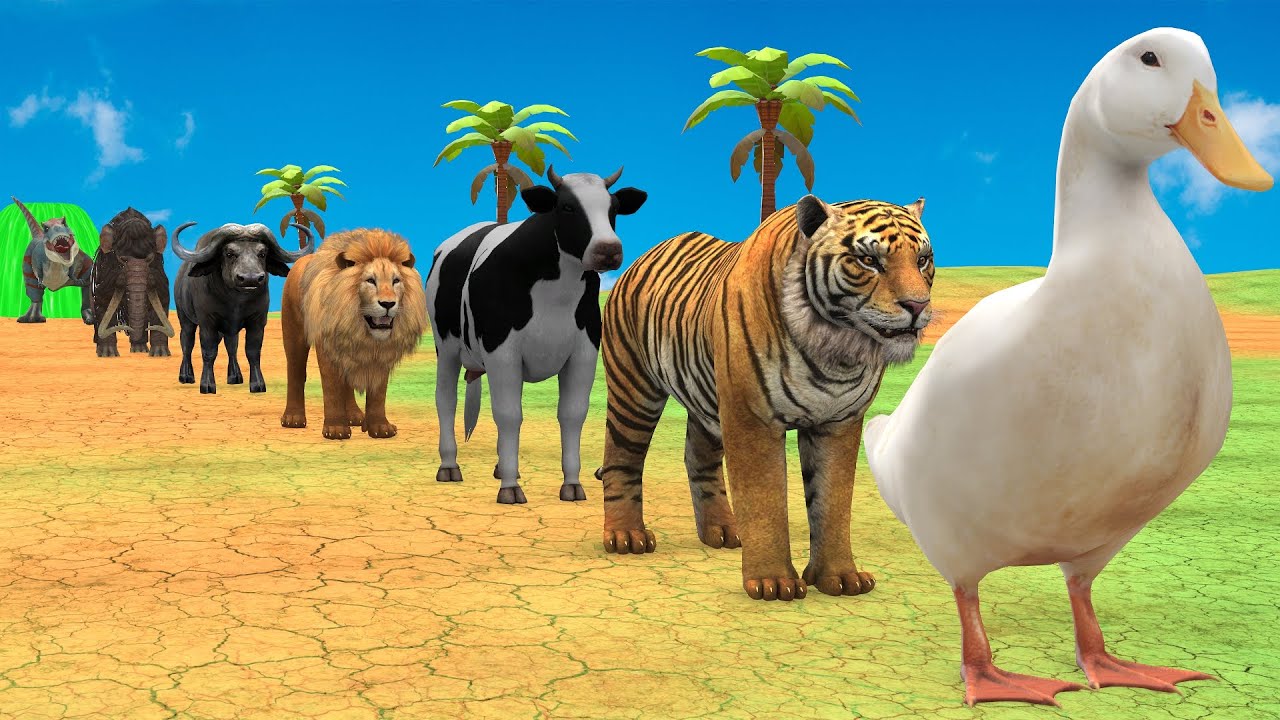 Long Slide Game with Cow Elephant Gorilla Hippopotamus Tiger 3d Animal Game Funny 3d Animals