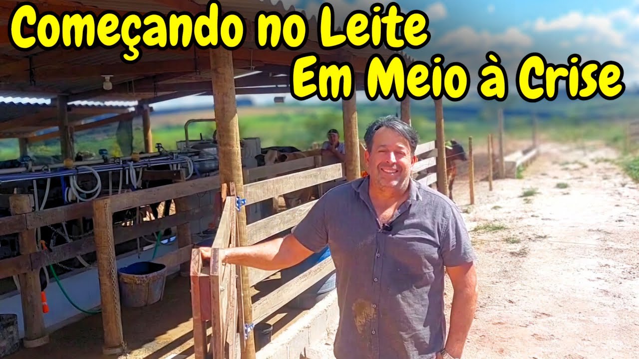 Ele Esta COMEÇANDO a TIRAR LEITE em meio essa GRANDE CRISE 