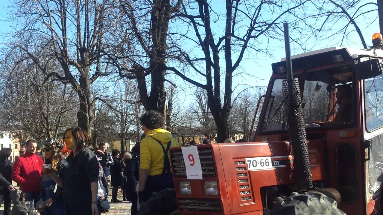 Carnevale Lonigo 2014