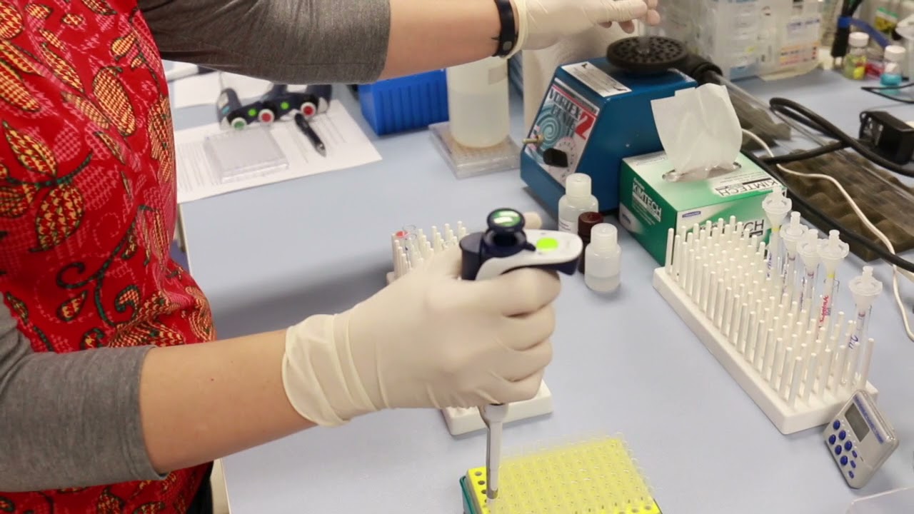 Assay Tips & Tricks - Arbor Assays