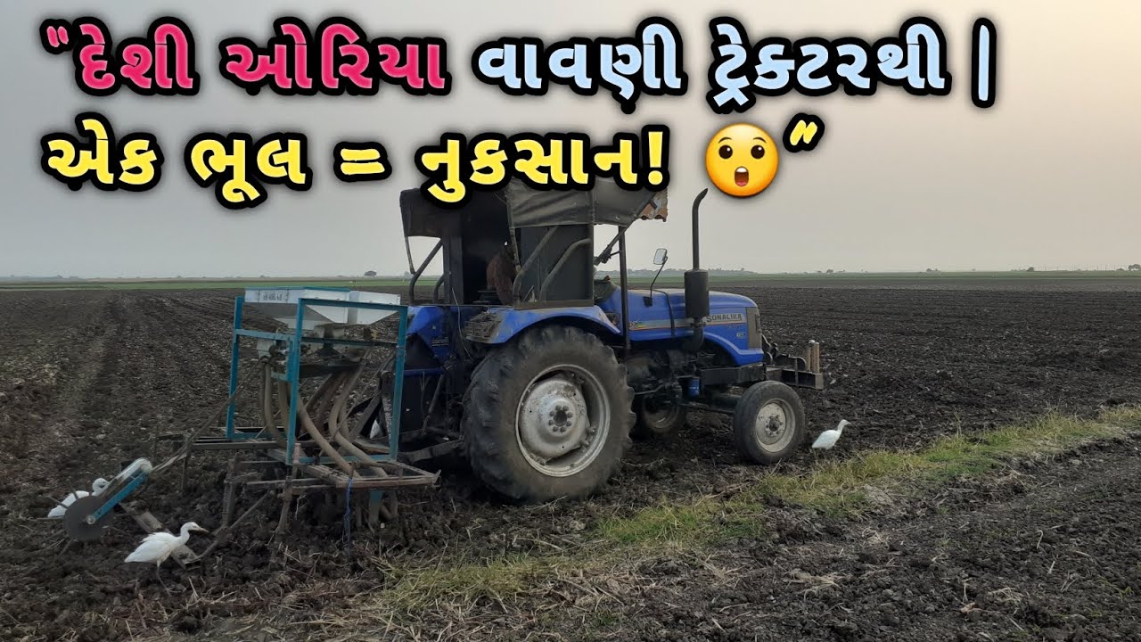 છેલ્લા ખેતરમાં 🚜 ટ્રેક્ટરથી દેશી ઓરિયા ☘️વાવેતર | વાવેતરની રીત અને ફાયદા | Jaydip Baraiya Vlogs